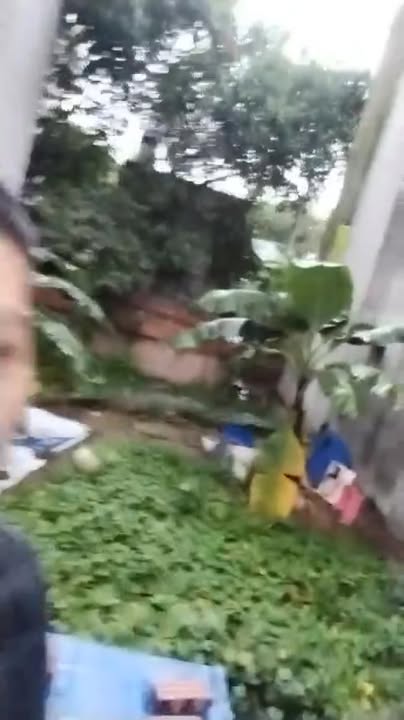 Đất nền Uy Nỗ - Đông Anh 63m² giá 4.698 tỷ - Cơ hội đầu tư hấp dẫn!