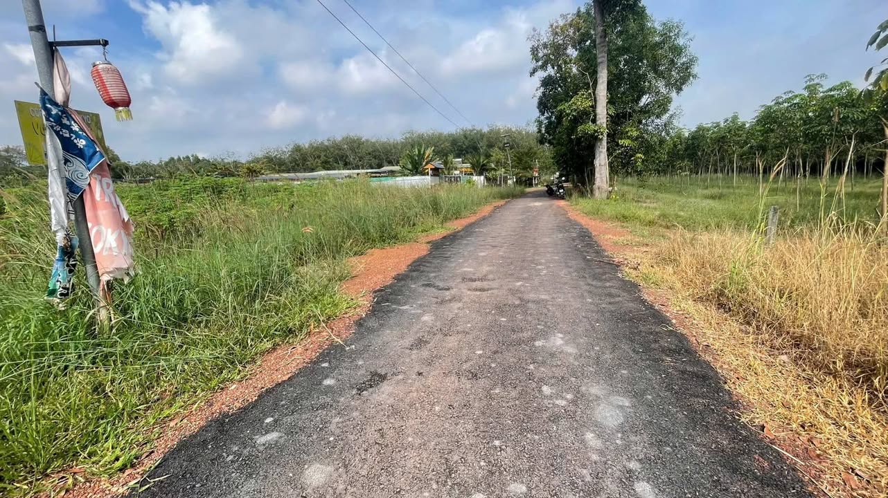 Đất nền Chánh Phú Hòa, Bến Cát 1296m² giá 3 tỷ - Tiềm năng đầu tư vượt trội!