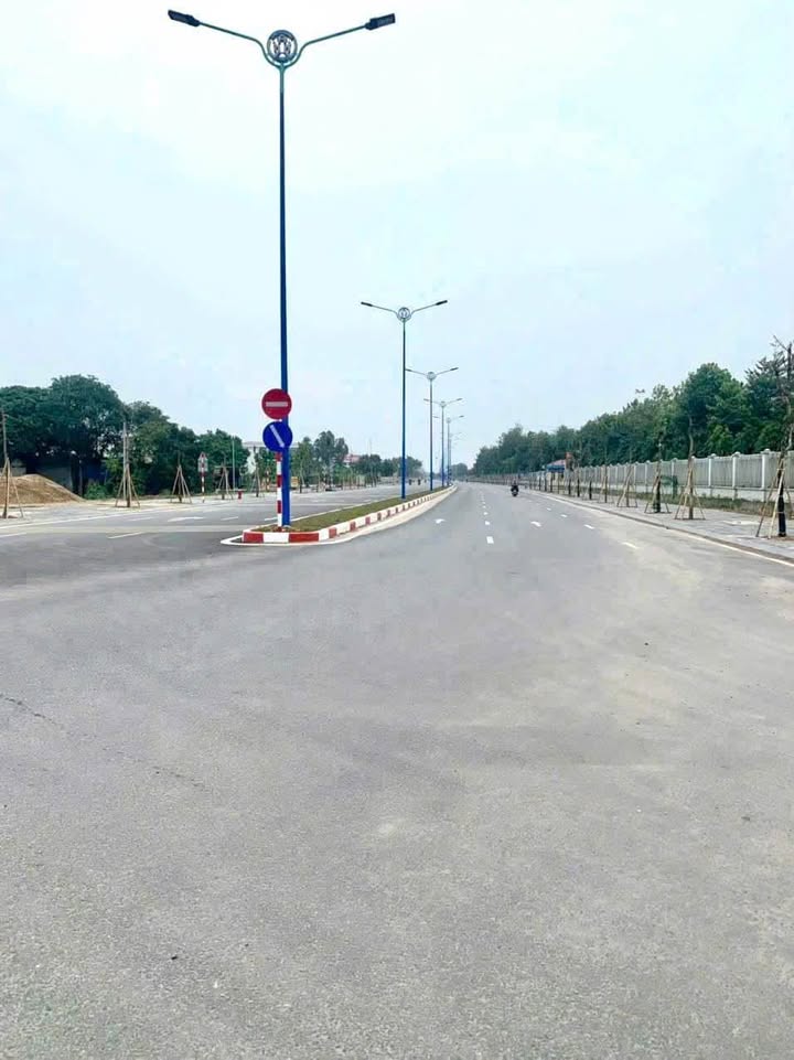 Đất kinh doanh Tái định cư Tứ Minh 84m² giá 6 tỷ - Địa điểm đắc địa cho đầu tư!