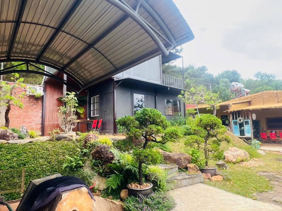 Nhà vườn Pleiku 600m² giá 3.6 tỷ - Không gian xanh mát, riêng tư!