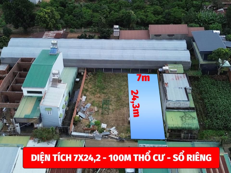 Lô đất 169m² tại Thôn Phú Lộc, Đức Trọng - Vị trí trung tâm, giá chỉ 1.85 tỷ!