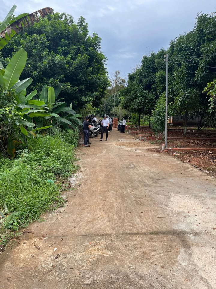 Đất thổ cư Bình Lộc 280m² giá 980 triệu - Sổ đỏ chính chủ, gần chợ!