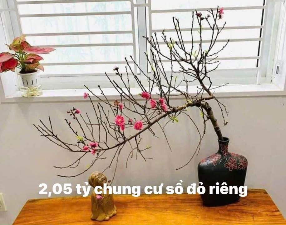 Căn hộ chung cư Đức Thắng 40m² giá 2.05 tỷ - Sổ đỏ riêng, gần nhiều trường đại học!