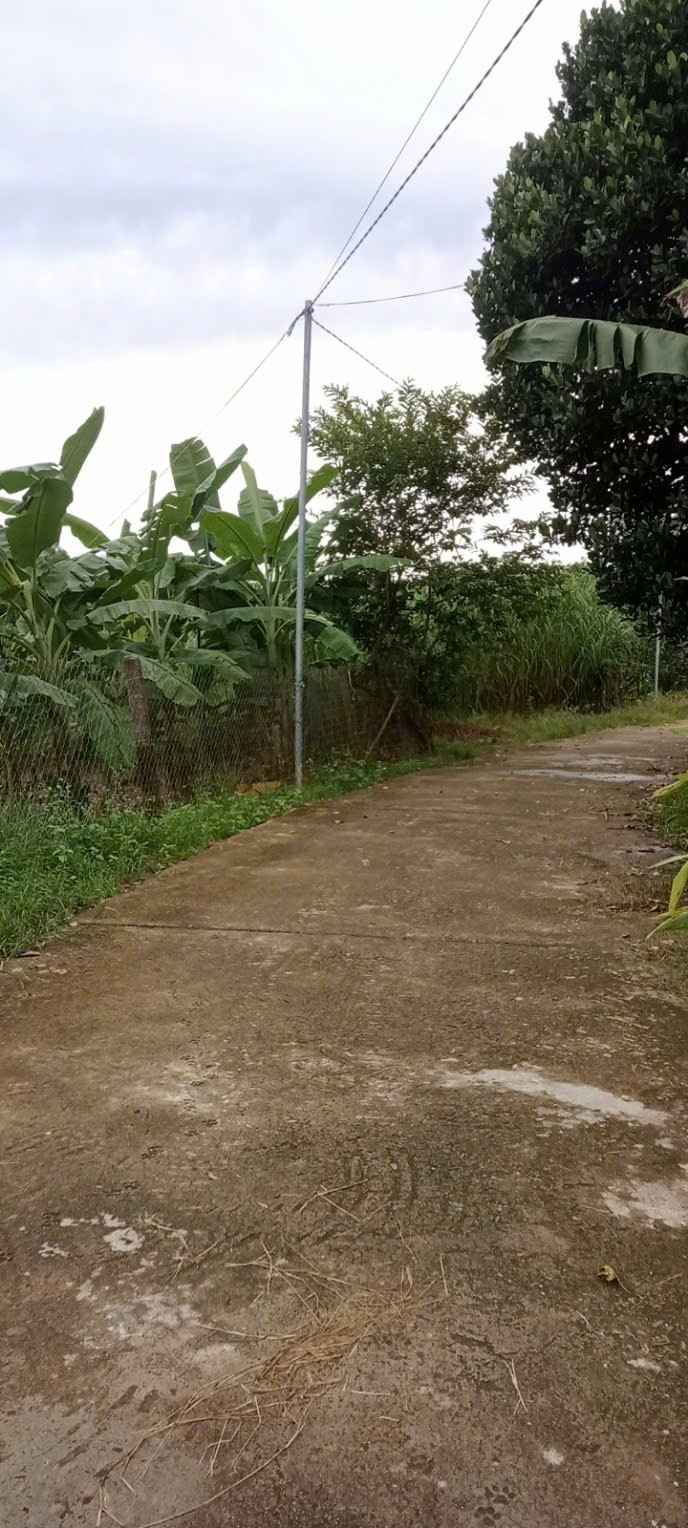 Đất nền Khánh Đông 487.5m² giá 400 triệu - Dân cư đông đúc, thuận lợi đầu tư!