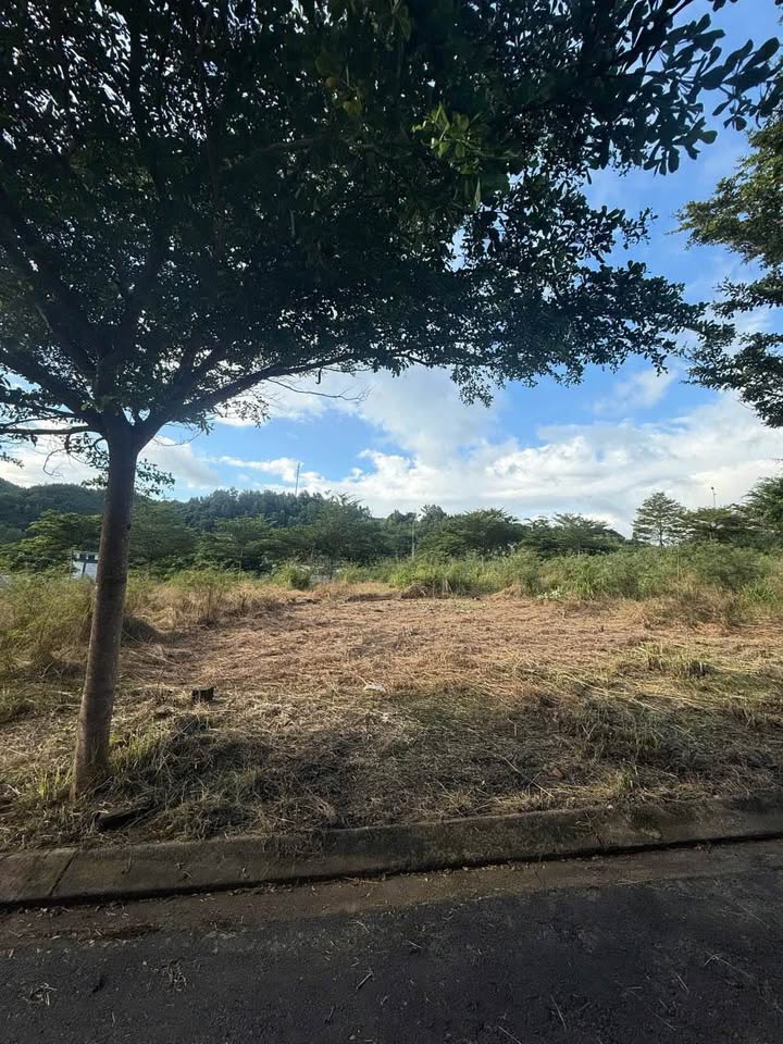 Đất liền kề KĐT Hoàng Phú, Vĩnh Hòa, Nha Trang - Giá chỉ 2.968 tỷ VND!