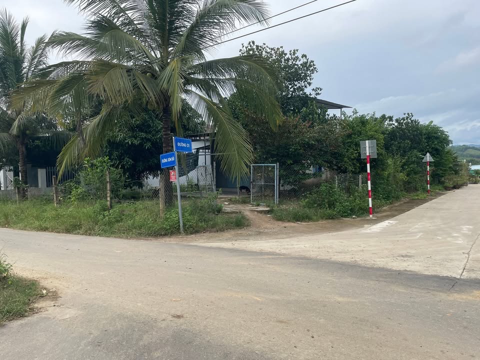 Nhà cấp 4 + Vườn cây ăn trái Diên Lâm 541m² giá 2.434 tỷ - Đầu tư sinh lời ngay!