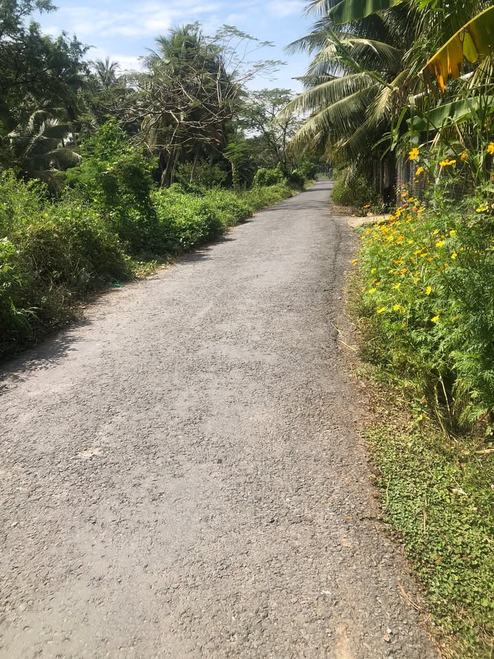 Đất nền đẹp 646m² tại ấp Hoà Quới, Chợ Gạo, Tiền Giang - Giá chỉ 2.5 tỷ!