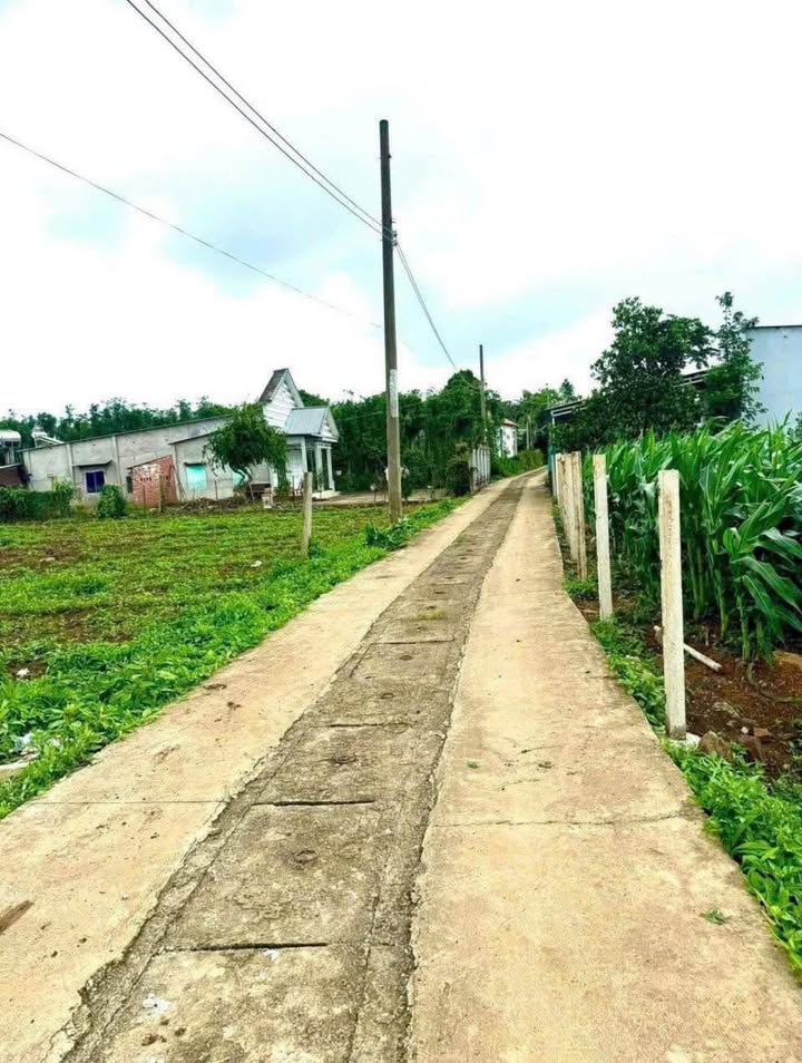 Đất nền Bàu Chinh Châu Đức 1972m² giá 2 tỷ - Mặt tiền đường bê tông rộng rãi!