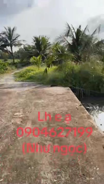 Đất nền Tân Hội, Cai Lậy 3311m² giá 1.7 tỷ - Đường ô tô, đầu tư sinh lời!