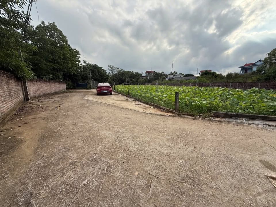 Đất thổ cư 100m² tại đường Chằm Seo, Quốc Oai chỉ 2 tỷ - Cơ hội đầu tư tuyệt vời!