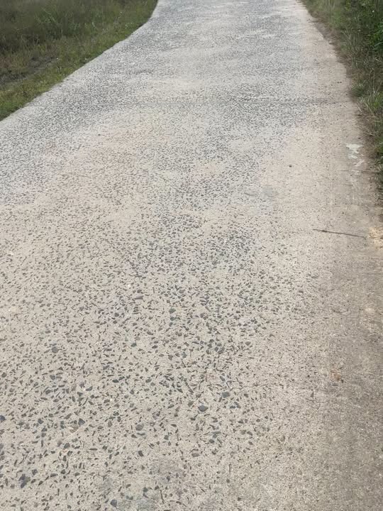 Nhà bán gấp tại khu phố U3, Ea T'Ling, 250m² giá 550 triệu - Đầu tư sinh lời!