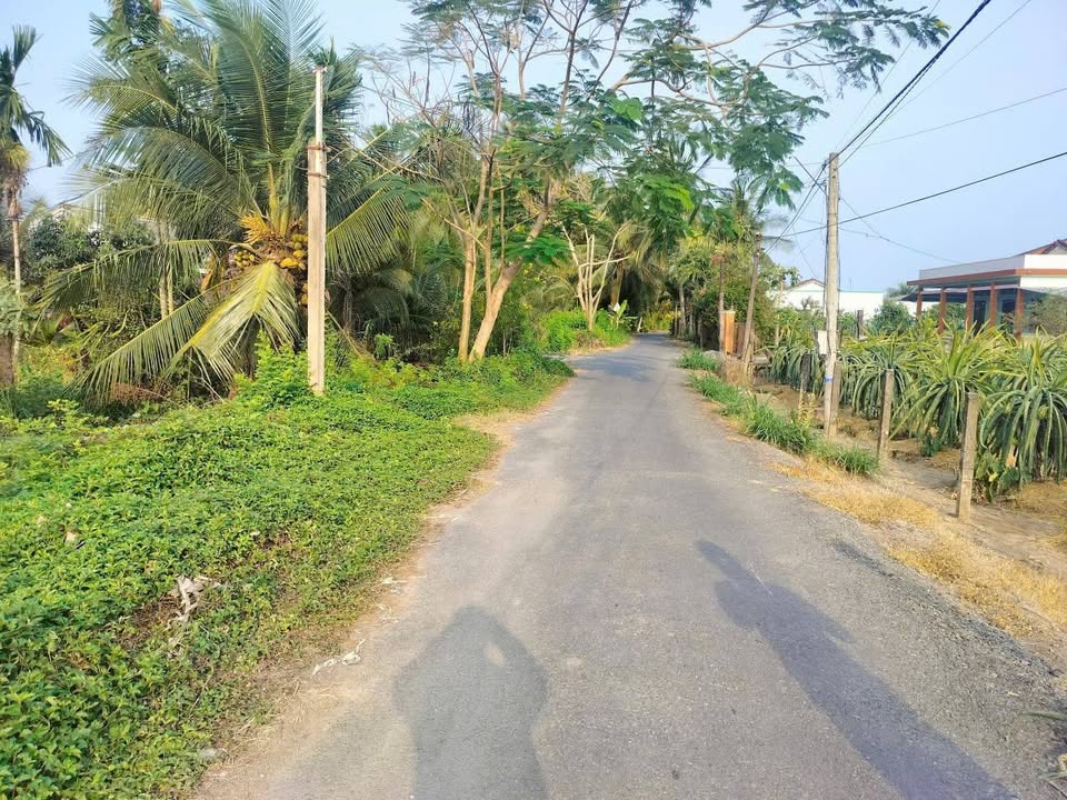 Đất thổ cư 100m² tại Trung Hòa, Chợ Gạo chỉ 1.1 tỷ - Đầu tư sinh lời