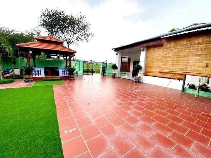Nhà vườn Thới Hòa Bến Cát 520m² - Không gian nghỉ dưỡng lý tưởng!