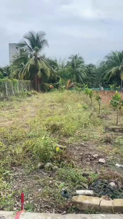 Đất nền Tân Phú, Đồng Tháp 175m² giá 270 triệu - Cơ hội đầu tư hấp dẫn!