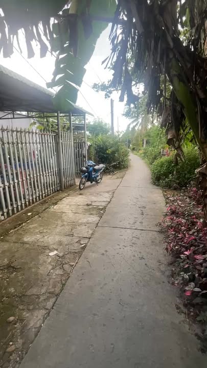 Đất nền 660m² tại Ấp 3 - Cẩm Sơn - Cai Lậy, Tiền Giang giá 1.5 tỷ - Đầu tư sinh lời ngay!