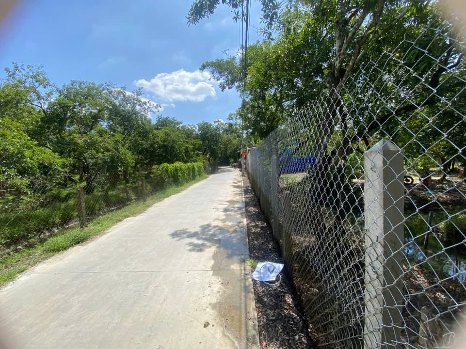 Đất Phú Phong, Châu Thành 989m² giá 2.3 tỷ - Cơ hội đầu tư hấp dẫn!