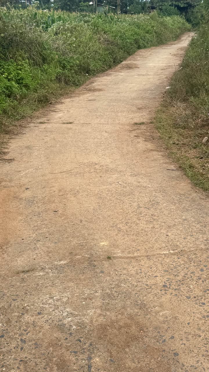 Đất nền Đắk Sôr 12.540m² giá 500 triệu - Đầu tư sinh lời ngay!