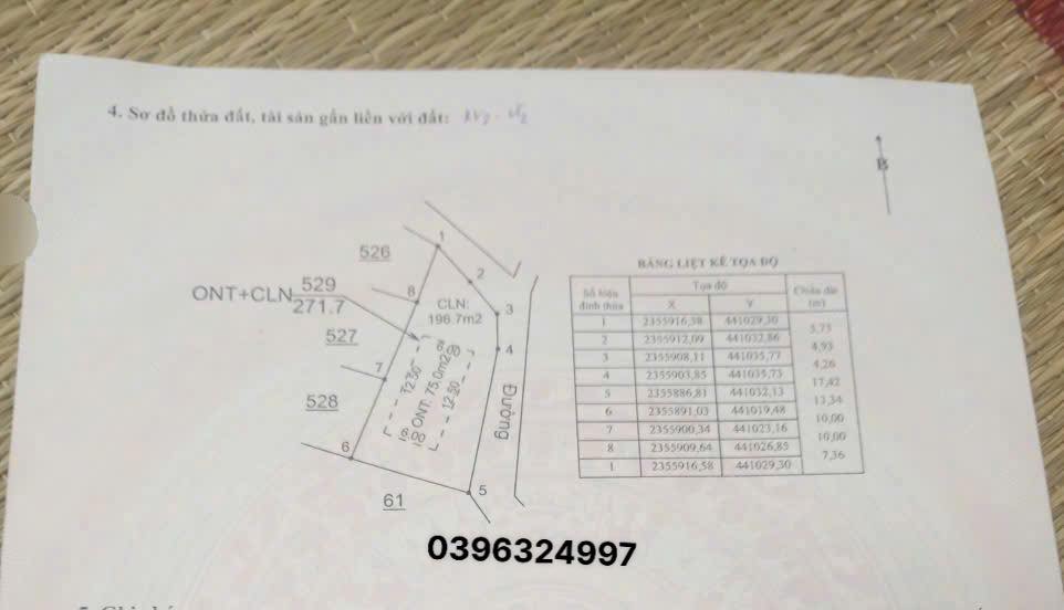 Đất nền Cương Sơn Lục Nam 270m² giá 580 triệu - Cơ hội đầu tư hấp dẫn!