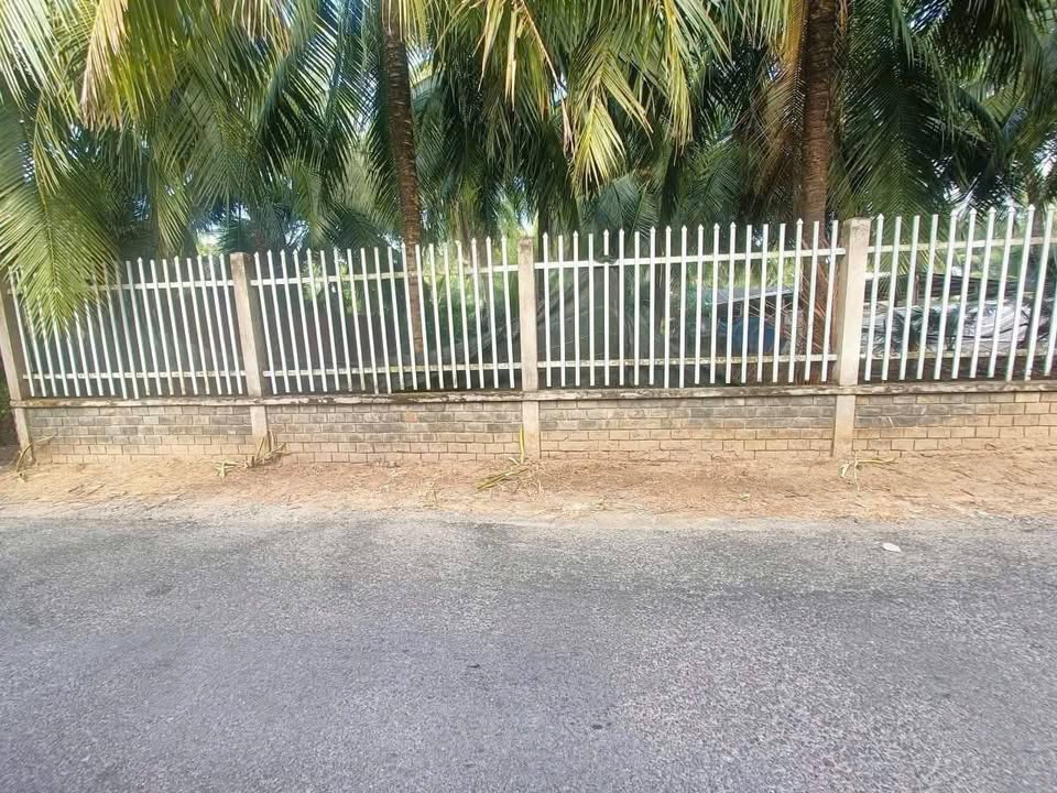 Đất nền đường Cơ Khí Bình Phú, Bến Tre 701m² giá 2.22 tỷ - Đầu tư sinh lời ngay!