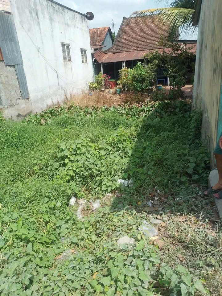 Đất nền mặt tiền đường tỉnh lộ 946, xã Hòa Bình - 58.9m² giá 460 triệu - Thương lượng ngay!