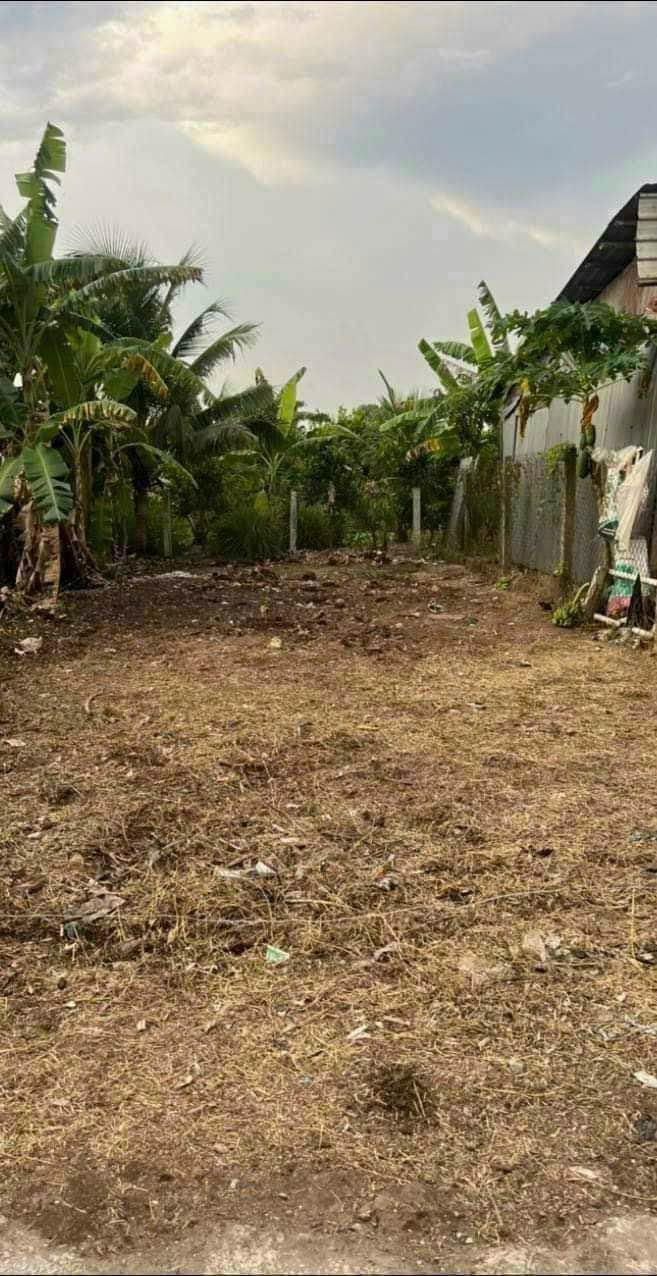 Đất nền Phước Hậu, Long Hồ 90.6m² giá 830 triệu - Đầu tư sinh lời ngay!