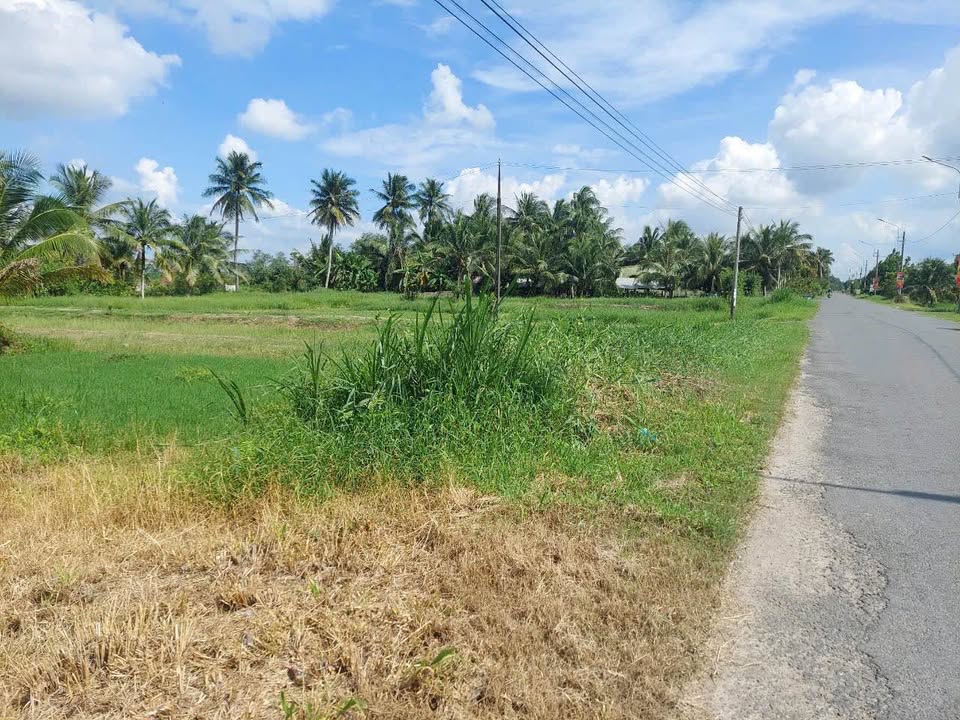 Đất mặt tiền 907 Vũng Liêm 611,5m² giá 1,5 tỷ - Đối diện mặt tỉnh lộ!