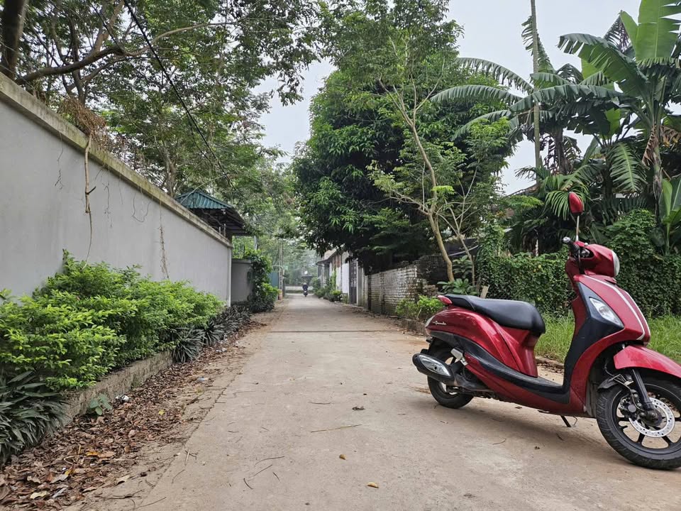 Đất thổ cư Khách Nhi - Vĩnh Thịnh 150m² giá tốt - Sổ đỏ chính chủ