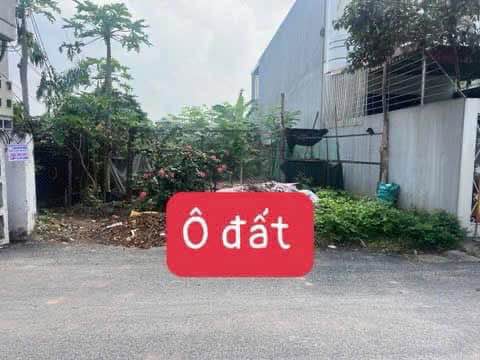 Đất nền Đạo Tú Tam Dương 146m² giá 1.9 tỷ - Vị trí kinh doanh tiềm năng!