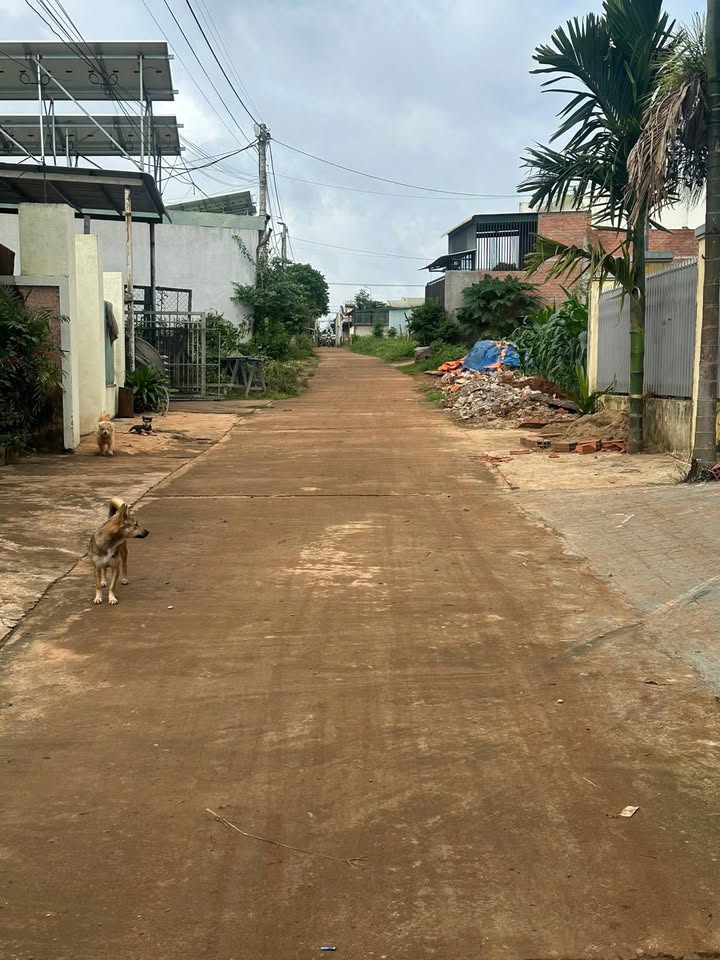 Đất nền Chư Sê 406m² giá 2.1 tỷ - Cơ hội đầu tư hấp dẫn!