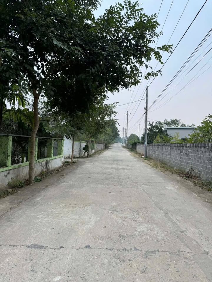 Đất nền Văn Phương Nho Quan 150m² - Gần trục du lịch Cúc Phương!