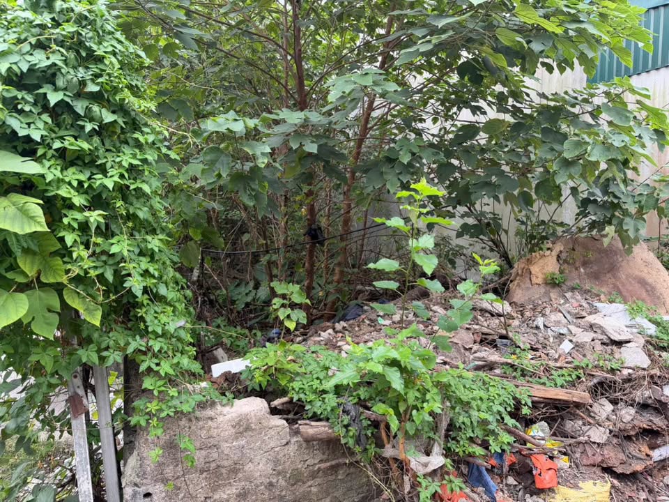 Đất nền đường Đinh Điền, phường Ninh Khánh 87,5m² - Giá đầu tư tuyệt vời!