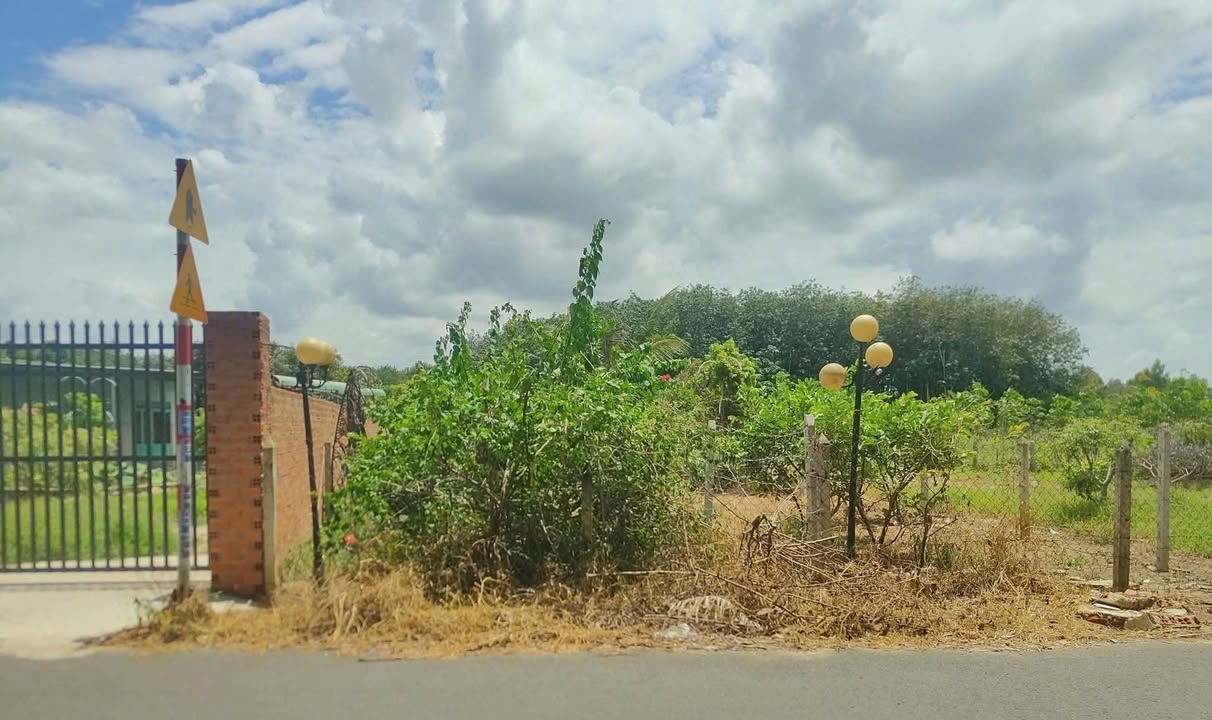 Đất mặt tiền đường nhựa An Điền 784m² giá 3.25 tỷ - Đầu tư sinh lời cao!