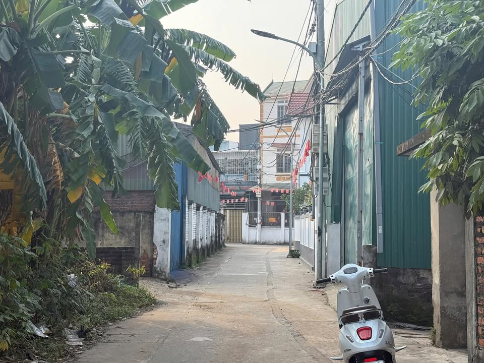 Đất thổ cư Hoài Đức 100m² giá thỏa thuận - Sổ hồng chính chủ, vị trí đẹp!