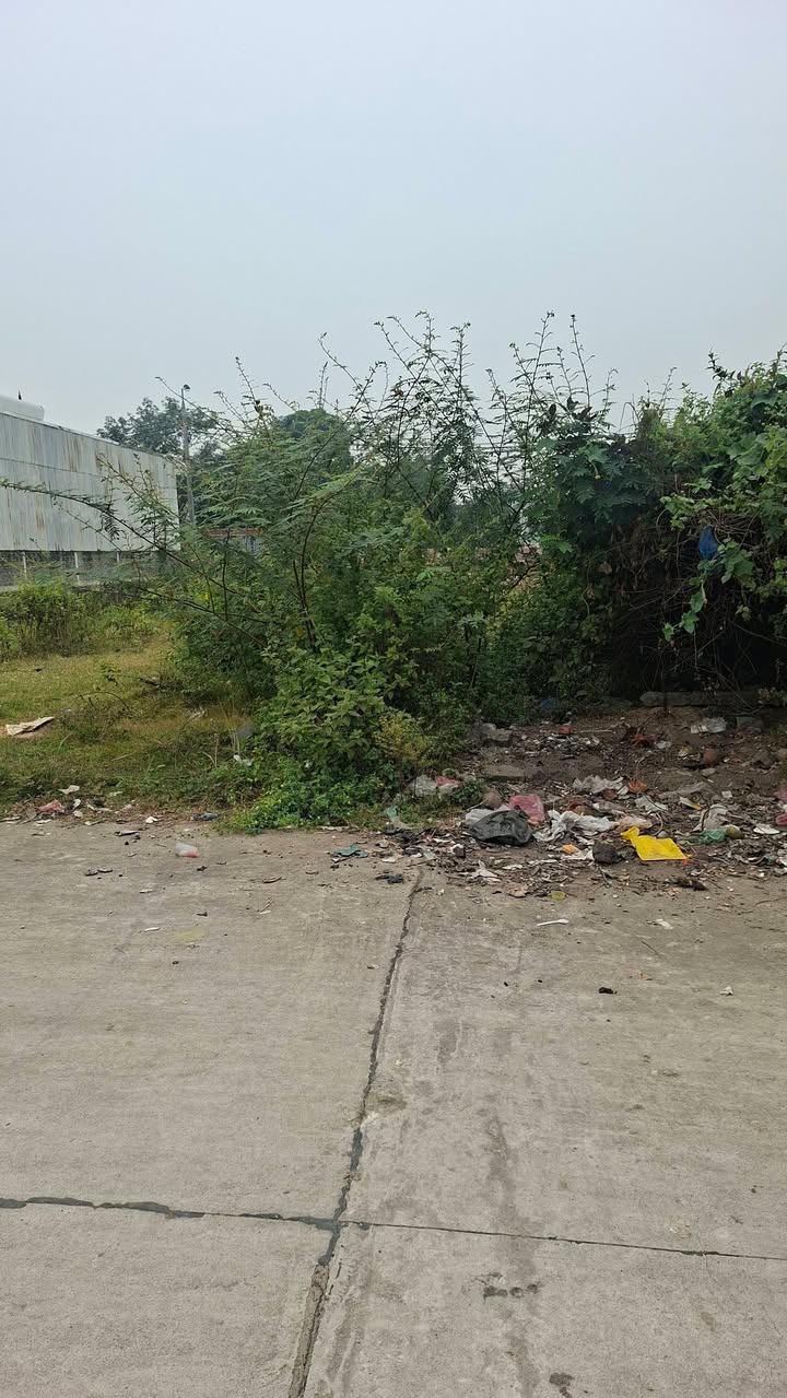 Đất nền 100m² tại Vinh Tiến, Bá Hiến, giá chỉ 2 tỷ - Cơ hội đầu tư hấp dẫn!