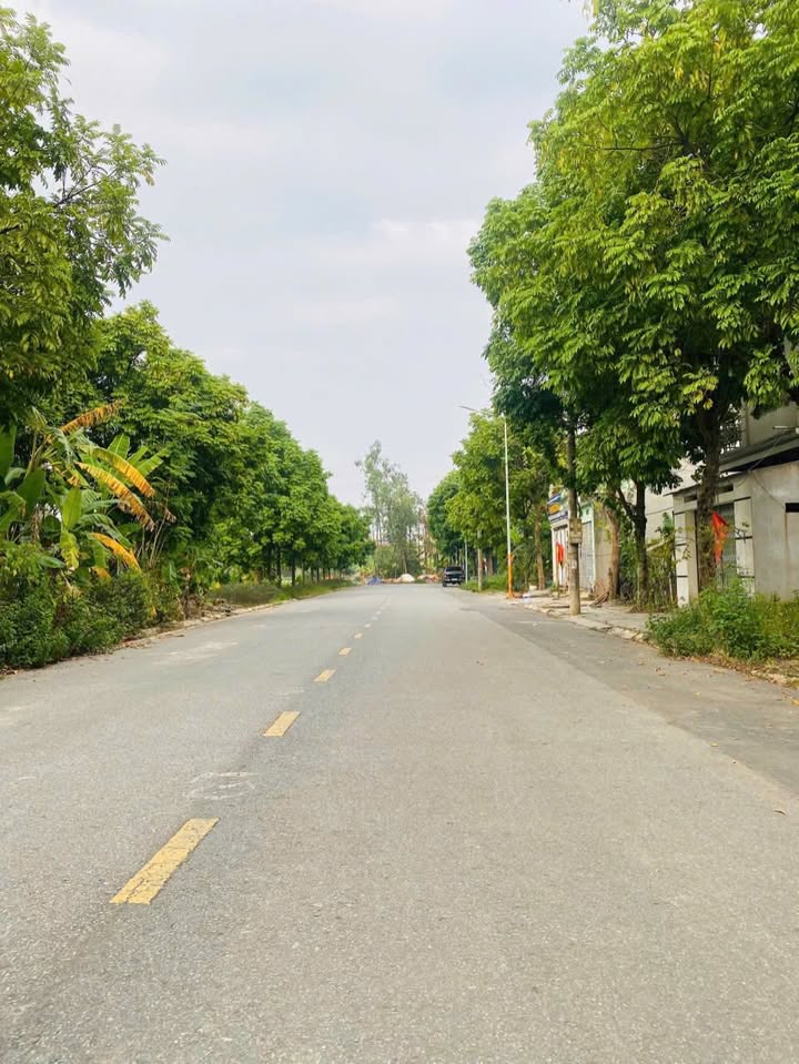 Đất nền Trần Doãn Hựu, Vĩnh Yên 100m² giá 2.7 tỷ - Mặt tiền 5m view thoáng