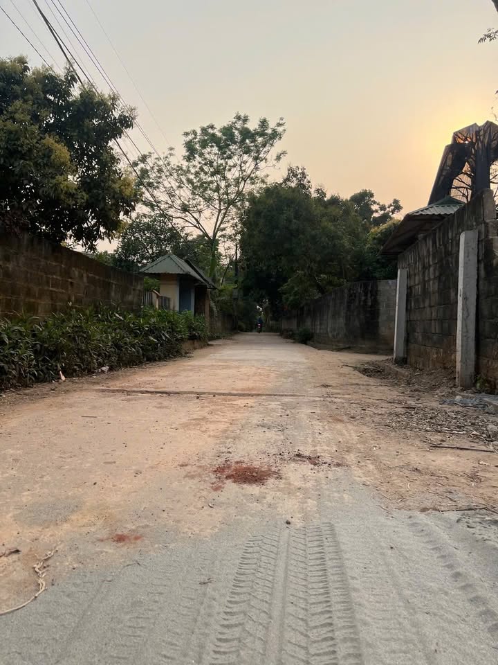 Đất nền Hướng Đạo, Tam Dương 296m² - Đầu tư sinh lời ngay!