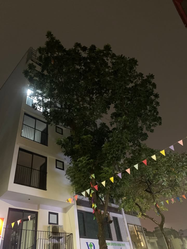 Nhà lô góc Đào Tấn 50m² giá thỏa thuận - Thiết kế hiện đại, nhận nhà ngay!