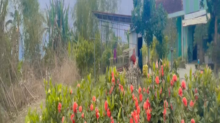 Đất nền Duy Thành, Quảng Nam 247.5m² giá 600 triệu - View sông tuyệt đẹp!