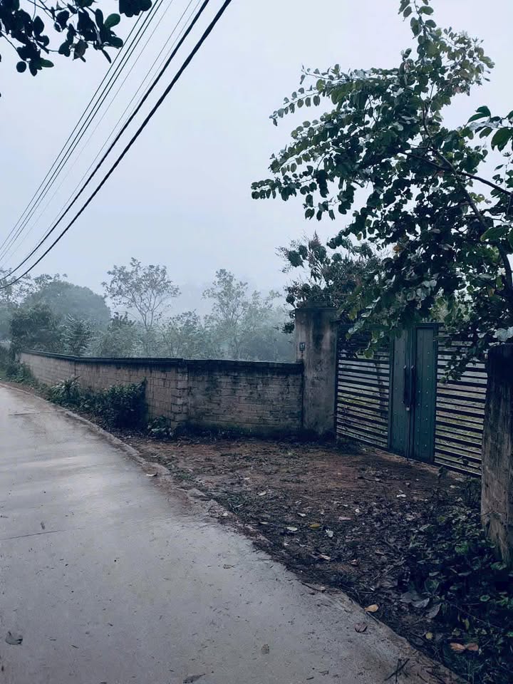 Đất nghỉ dưỡng Yên Bài, Ba Vì 2520m² giá 10.9 tỷ - Cơ hội đầu tư hấp dẫn!