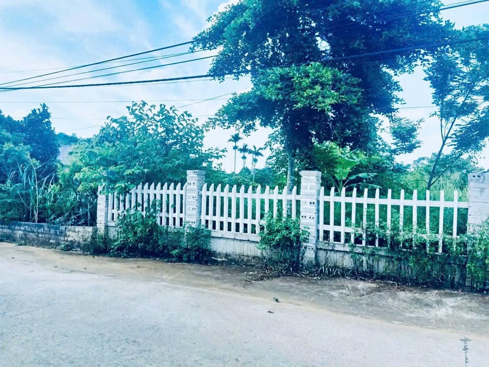 Đất nền Yên Bài, Ba Vì 150m² giá thỏa thuận - Tiềm năng đầu tư lớn!