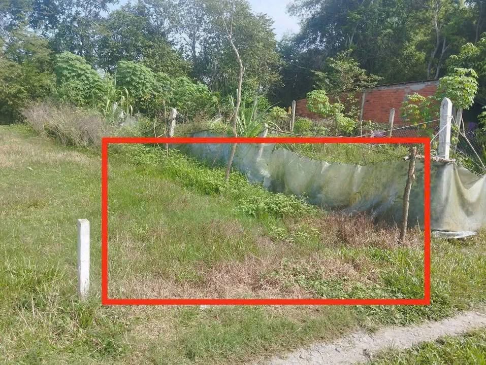 Đất nền Mỹ Hạnh, Đức Hòa 76m² giá 650 triệu - Sổ đỏ chính chủ, cơ hội đầu tư hấp dẫn!