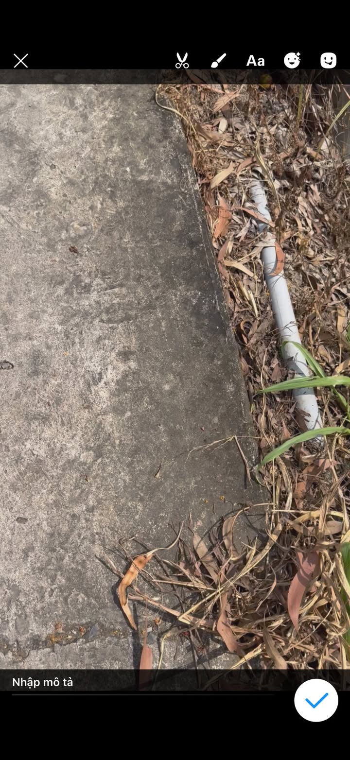 Đất vườn 500m² Lương Hòa Bến Lức giá 550 triệu - Cơ hội đầu tư tuyệt vời!