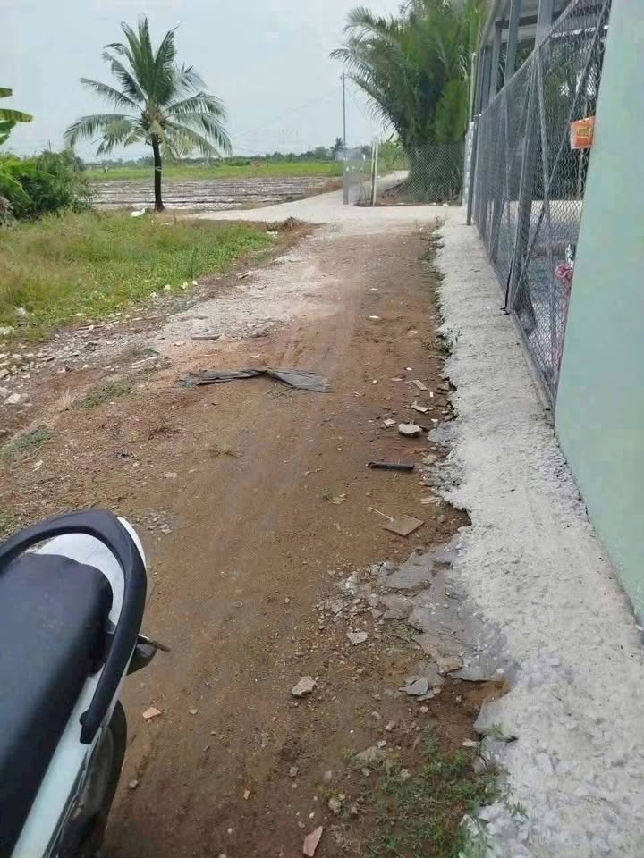 Đất vườn 500m² tại ấp 3, xã Hòa Phú, Long An giá 420 triệu - Sổ đỏ sẵn sàng!