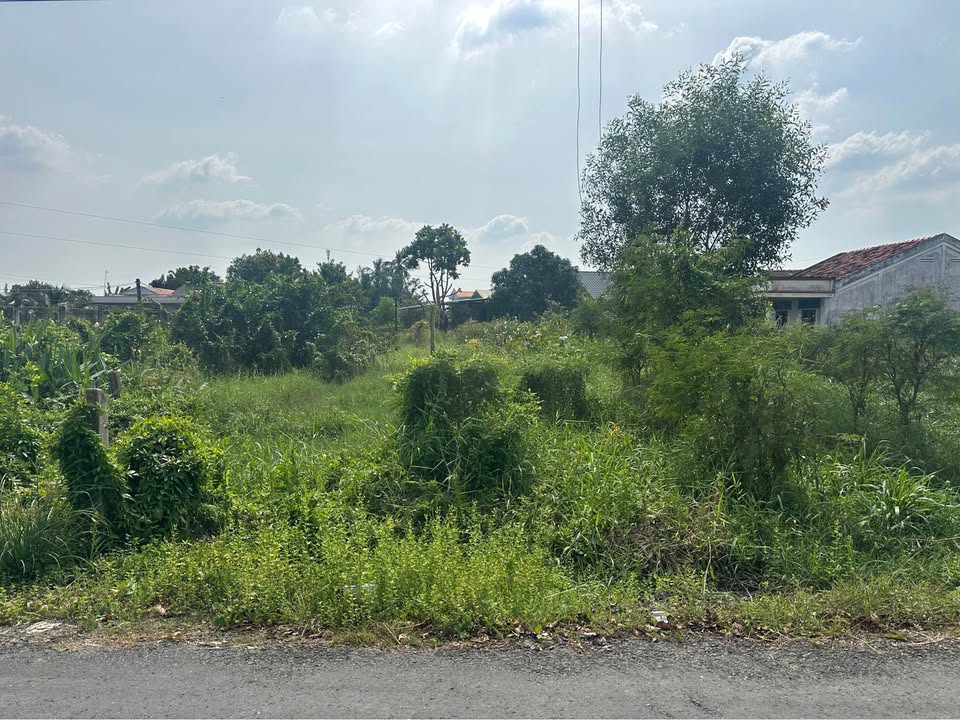 Đất thổ cư mặt tiền đường Chiến Lược, xã Dương Xuân Hội, Long An 125m² - Giá chỉ 820 triệu!