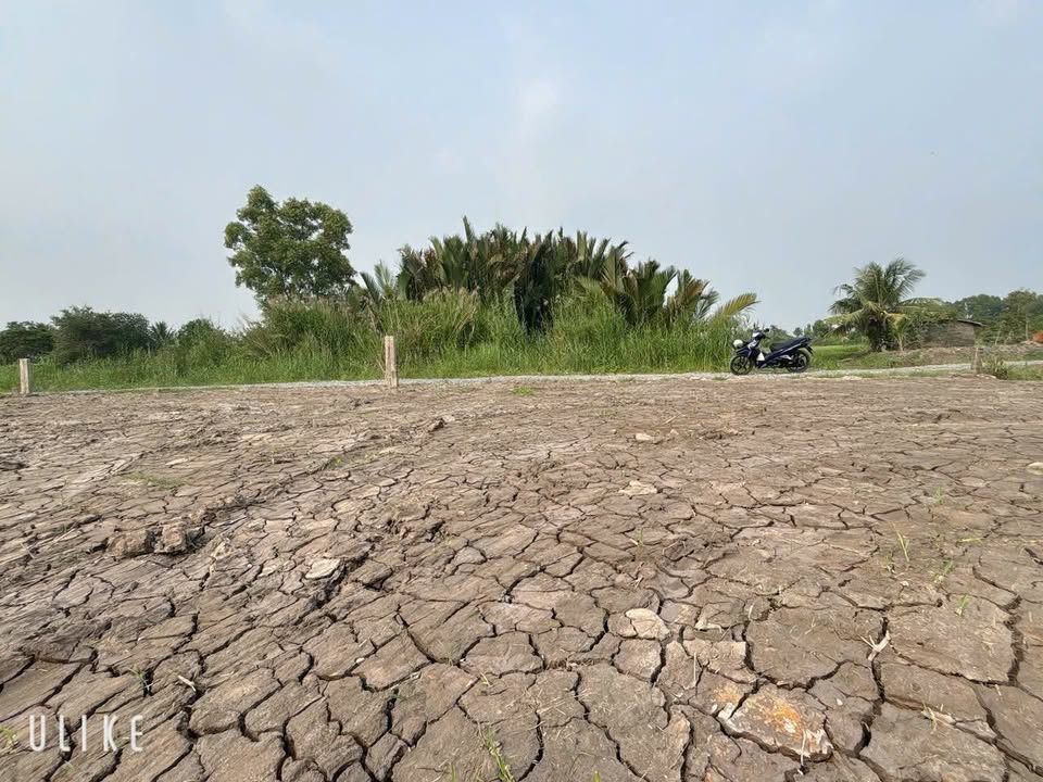 Đất vườn 500m² Đức Tân - Tân Trụ chỉ 400 triệu - Cơ hội đầu tư tuyệt vời!