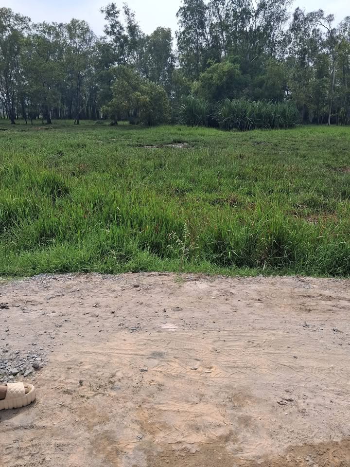 Đất nền chính chủ 52m² tại ấp Tràm Lạc, Long An - Giá chỉ 1.5 tỷ!