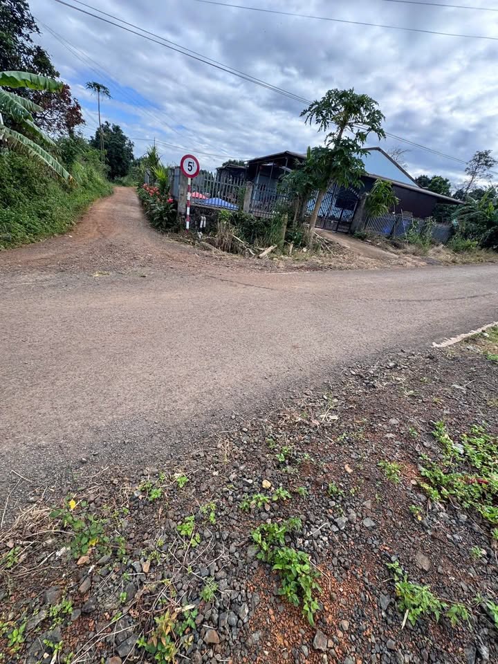 Bán rẫy thổ cư 2 sào tại xã Cư Mốt, Ea H'leo, Đắk Lắk - Giá chỉ 499 triệu!