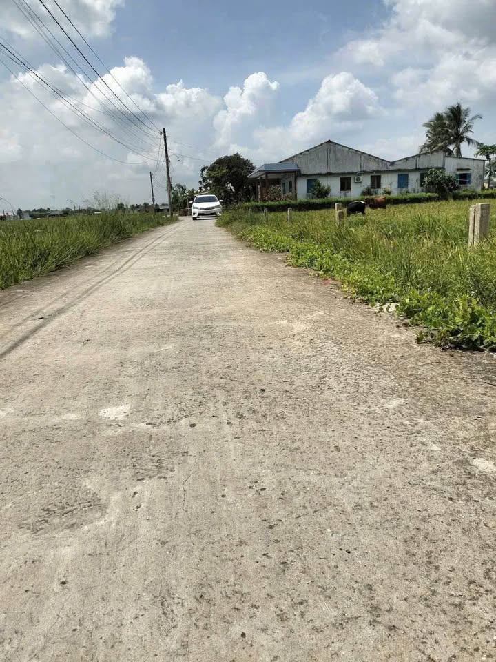 Đất thổ cư 140m², tổng 1140m² tại xã Đức Tân - Giá chỉ 1.15 tỷ