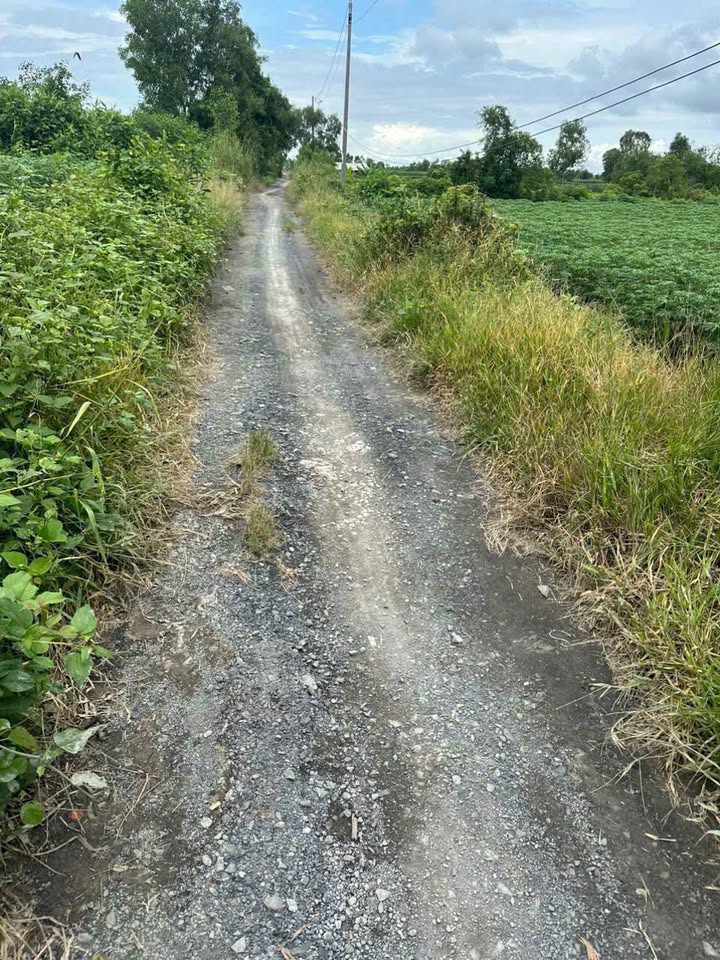 Đất vườn mặt tiền Kênh Biện Cung 9864m² giá 7 tỷ - Cơ hội đầu tư lý tưởng!