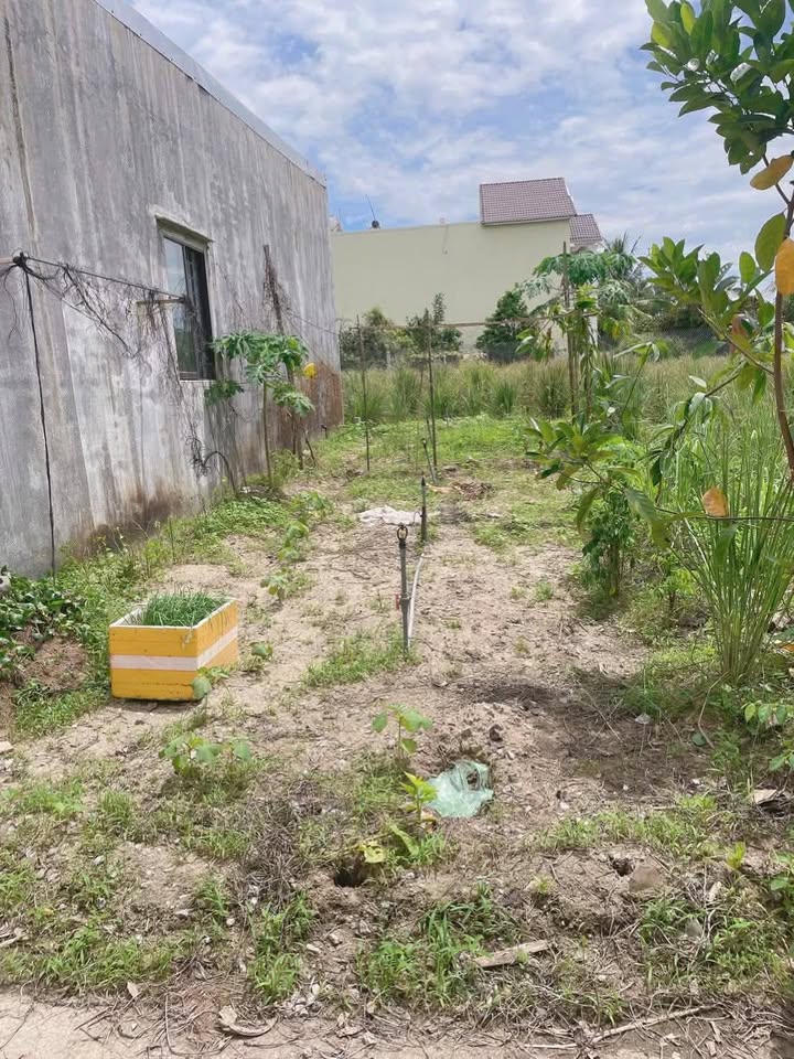 Đất nền hẻm Hoàng Hoa Thám Quảng Ngãi 84m² giá 590 triệu - Cơ hội đầu tư tuyệt vời!